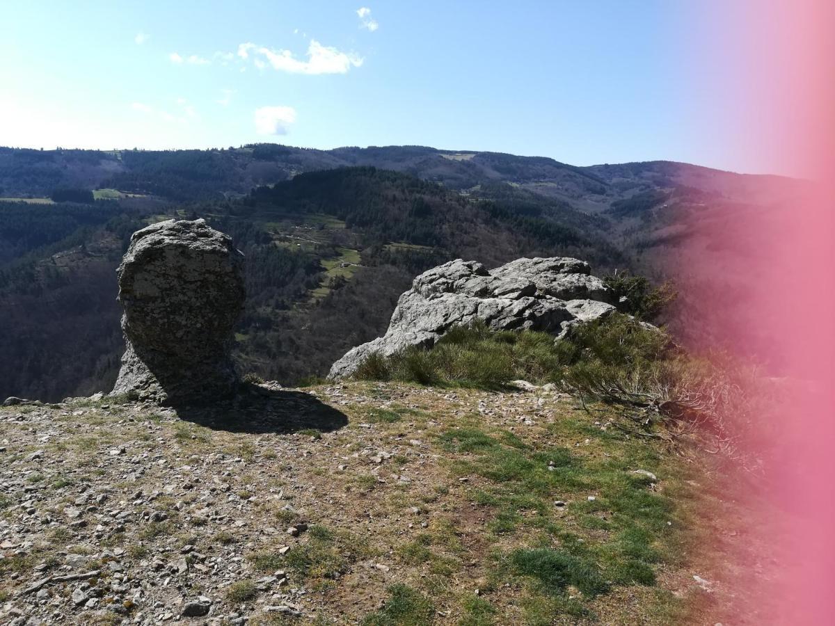 לינה וארוחת בוקר Le Relais De Rochepaule מראה חיצוני תמונה