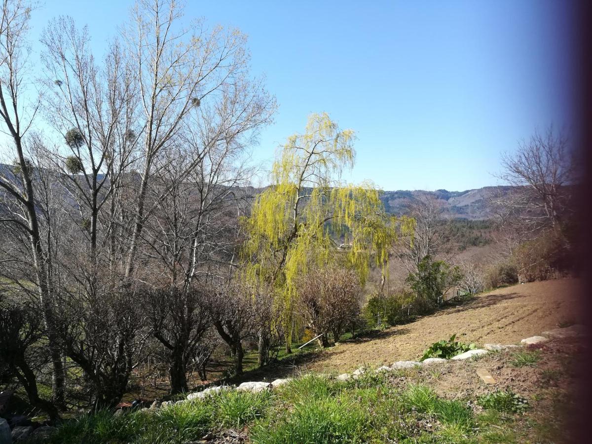 לינה וארוחת בוקר Le Relais De Rochepaule מראה חיצוני תמונה